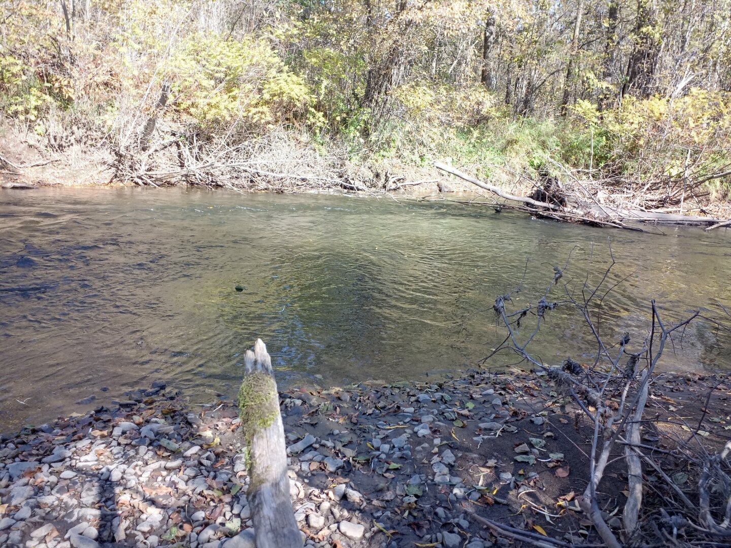 IMG_20210926_135743_096.jpg