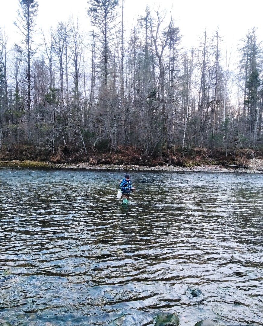 IMG_20211105_160650.jpg