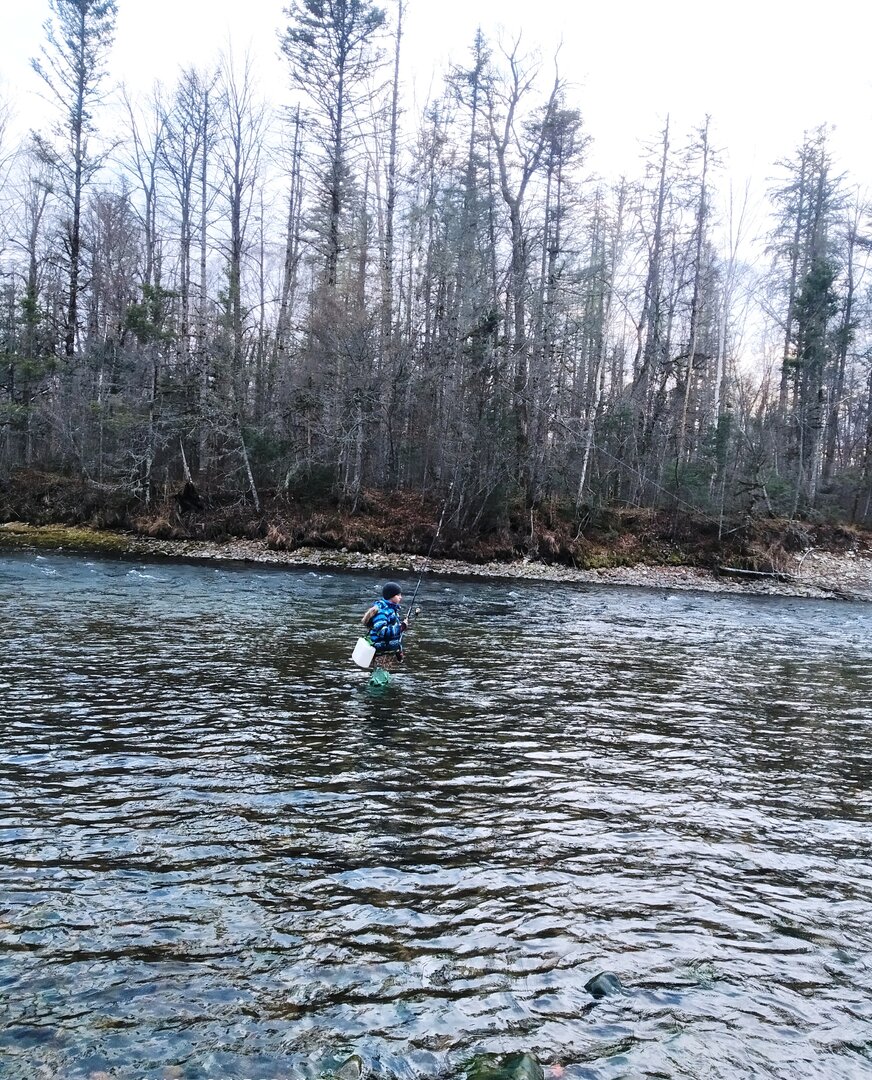 IMG_20211105_160654.jpg