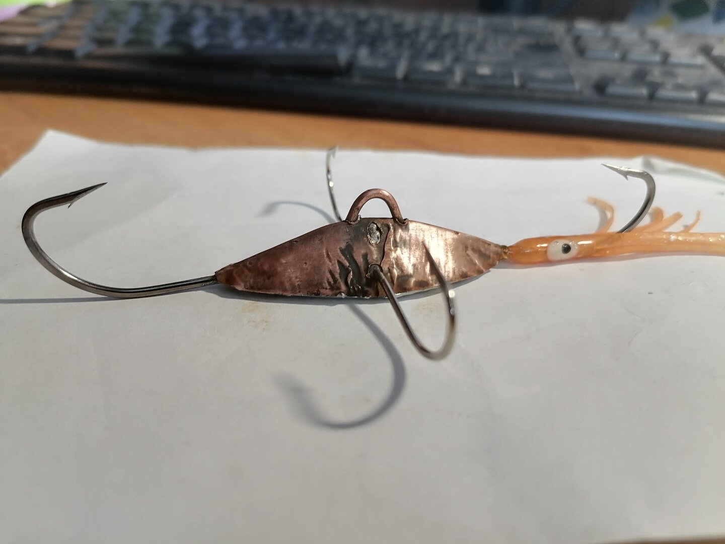 IMG_20211123_130006.jpg IMG_20211123_130006.jpg