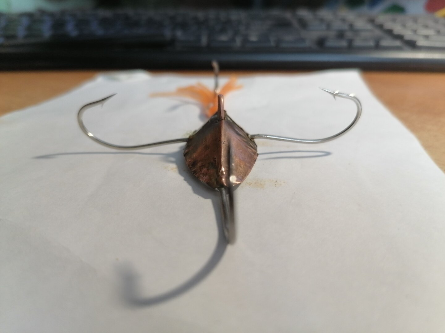 IMG_20211123_130027.jpg IMG_20211123_130027.jpg