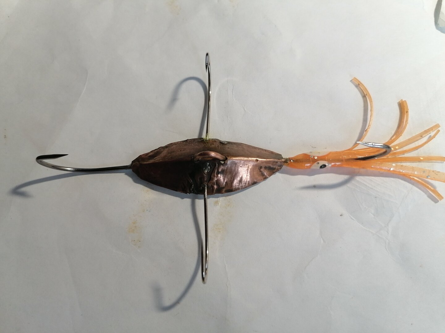 IMG_20211123_130047.jpg IMG_20211123_130047.jpg