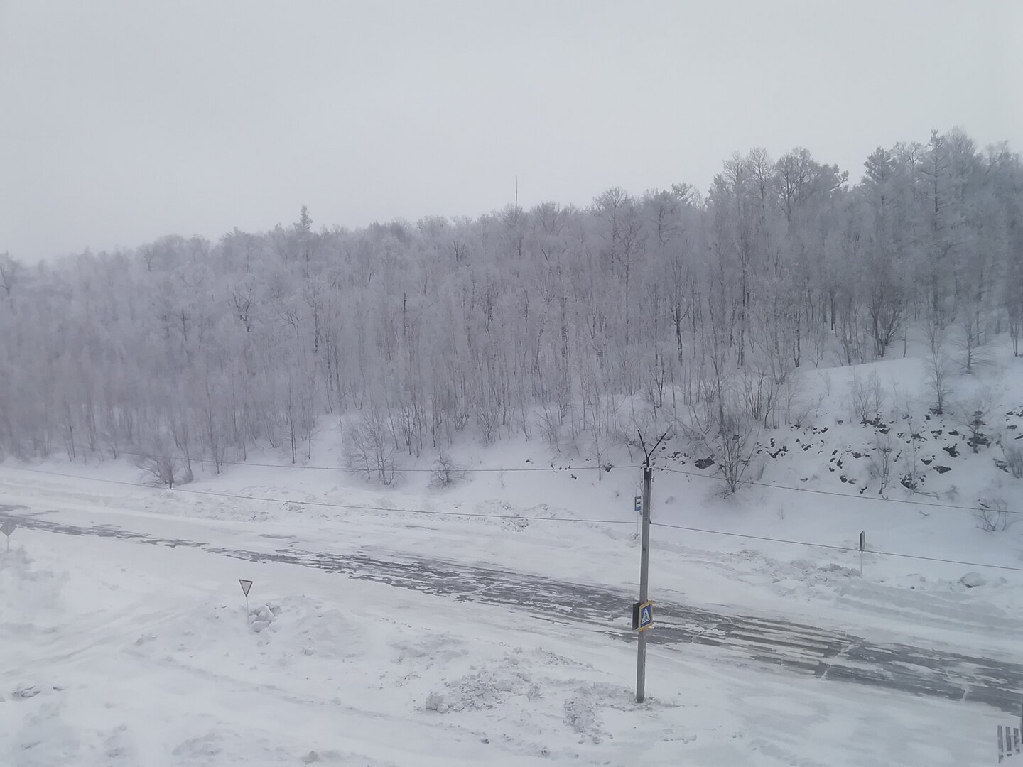 IMG_20211231_103250.jpg