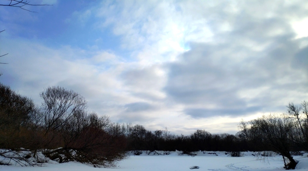 IMG_20220313_155856.jpg