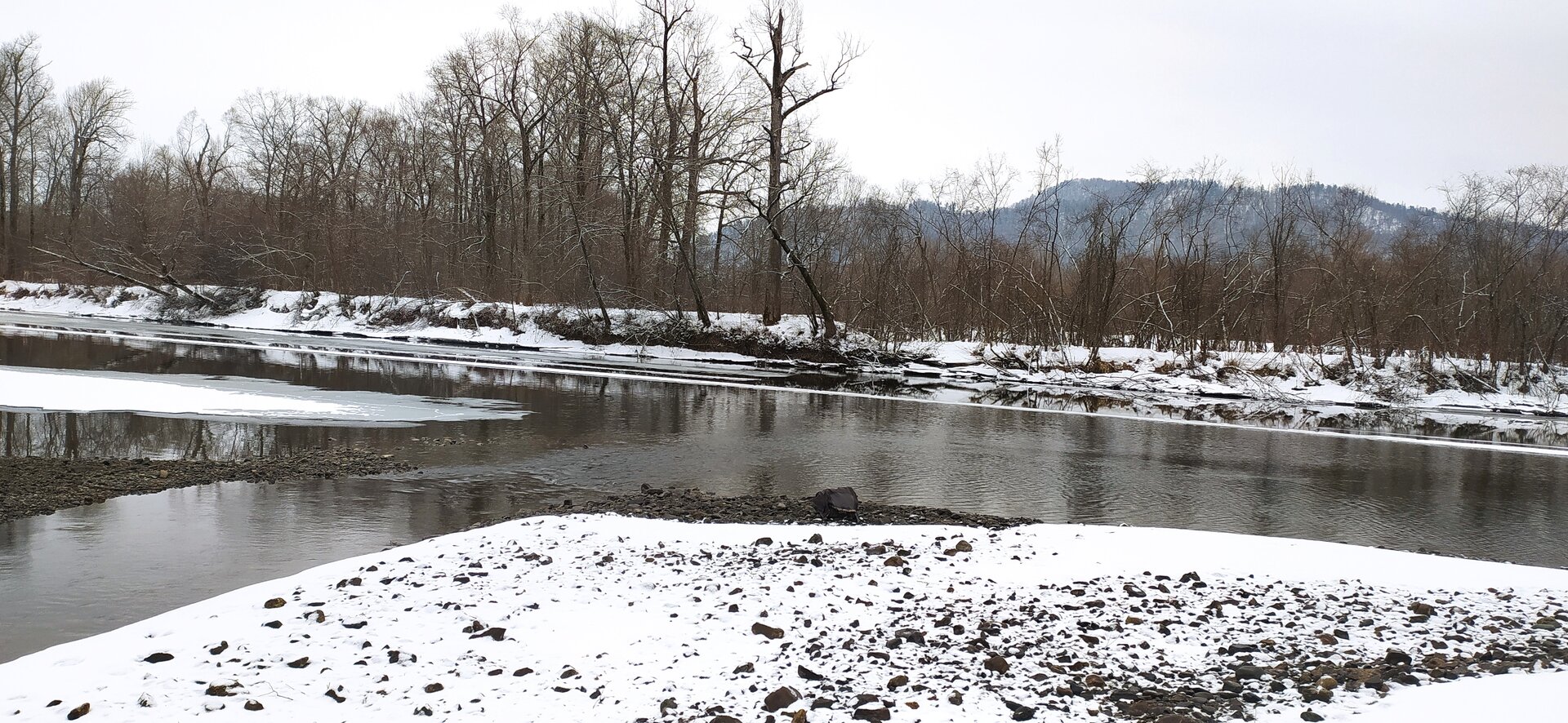 IMG_20220409_100334.jpg