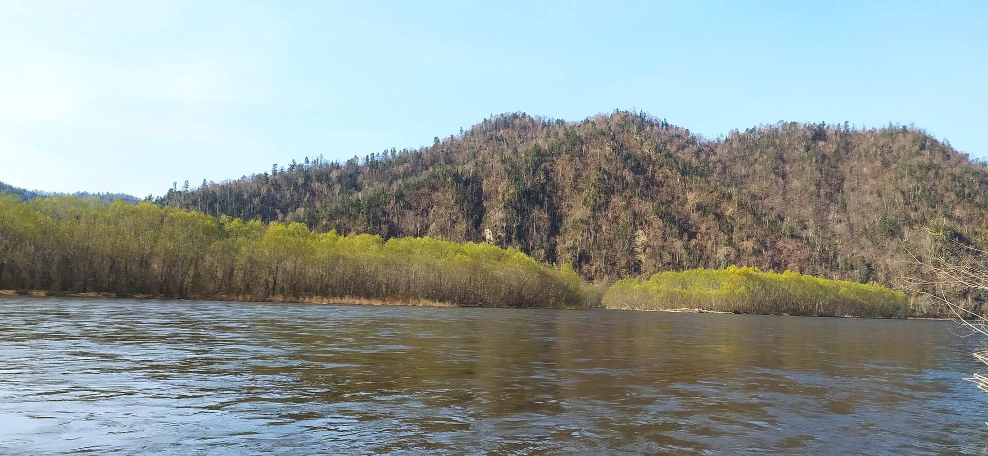 IMG_20220509_084613.jpg