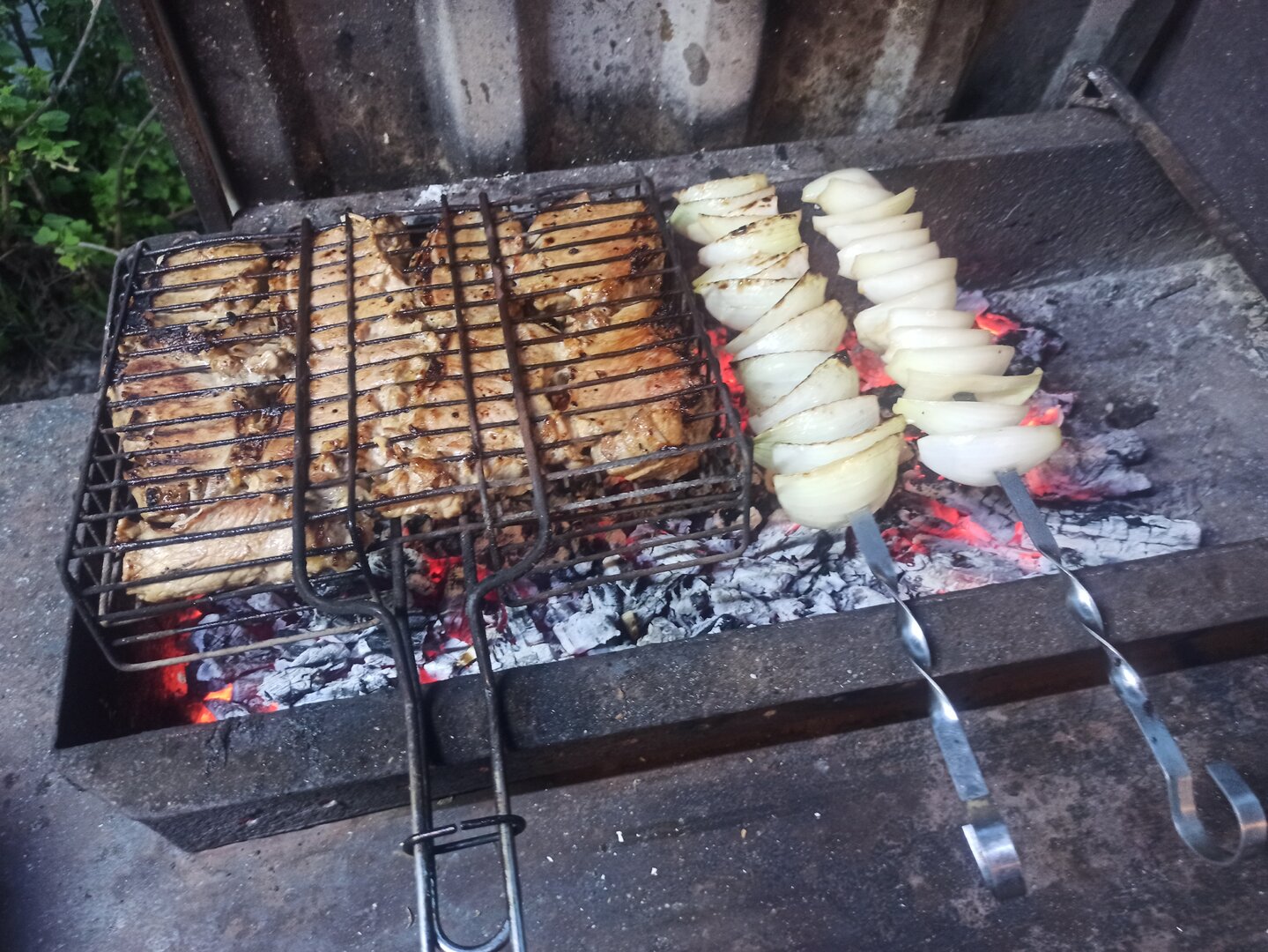 IMG_20220512_204156.jpg