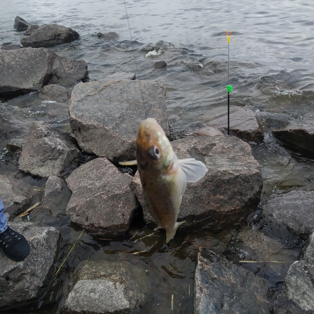 IMG_20220529_101745.jpg