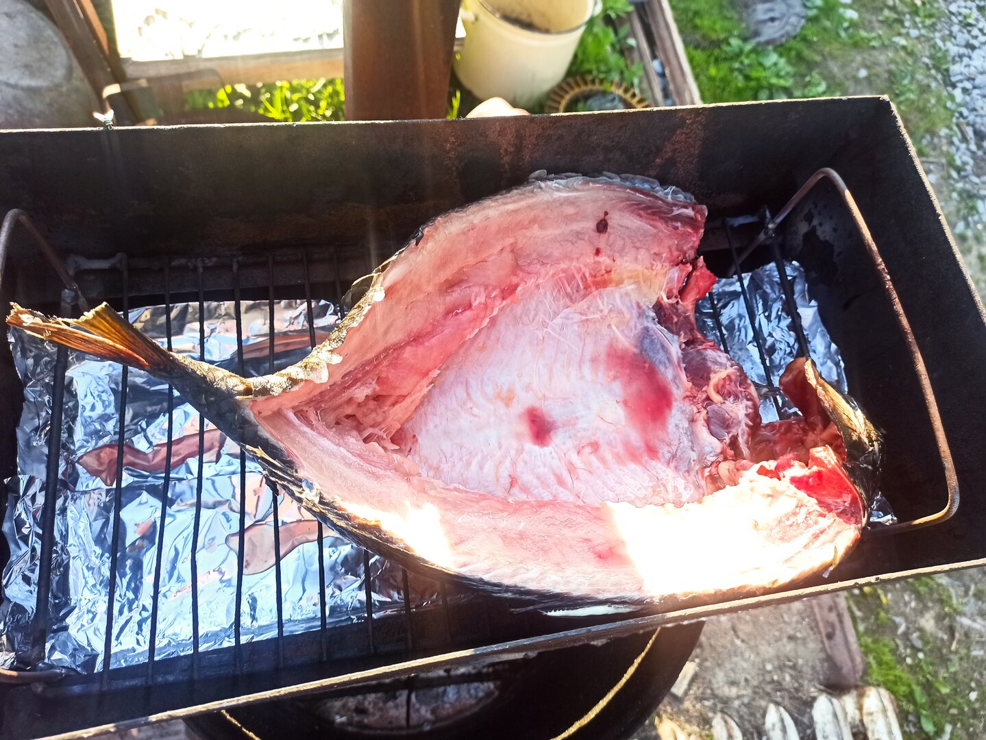 IMG_20220605_193556.jpg
