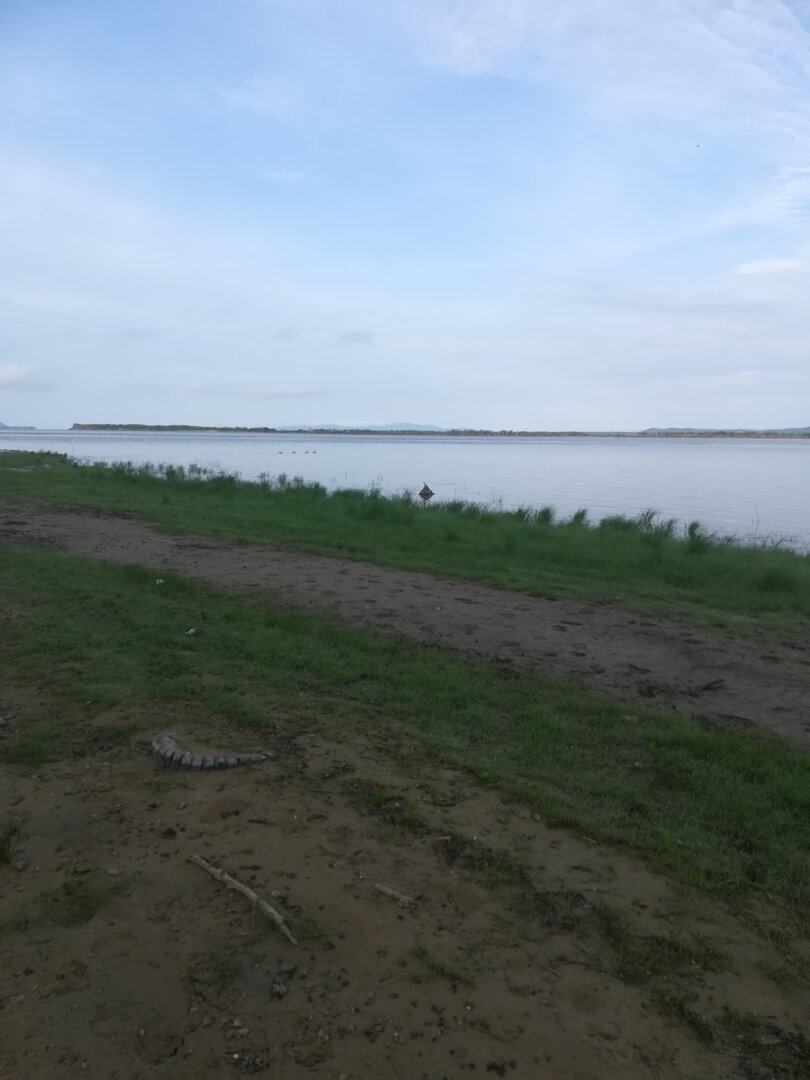 IMG_20220623_063840.jpg