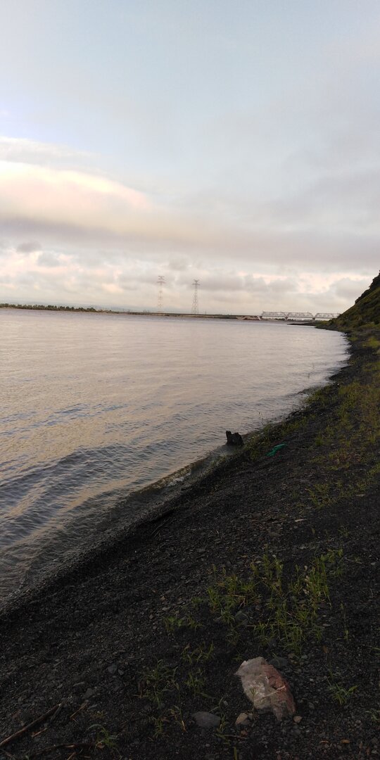 IMG_20220714_062947.jpg