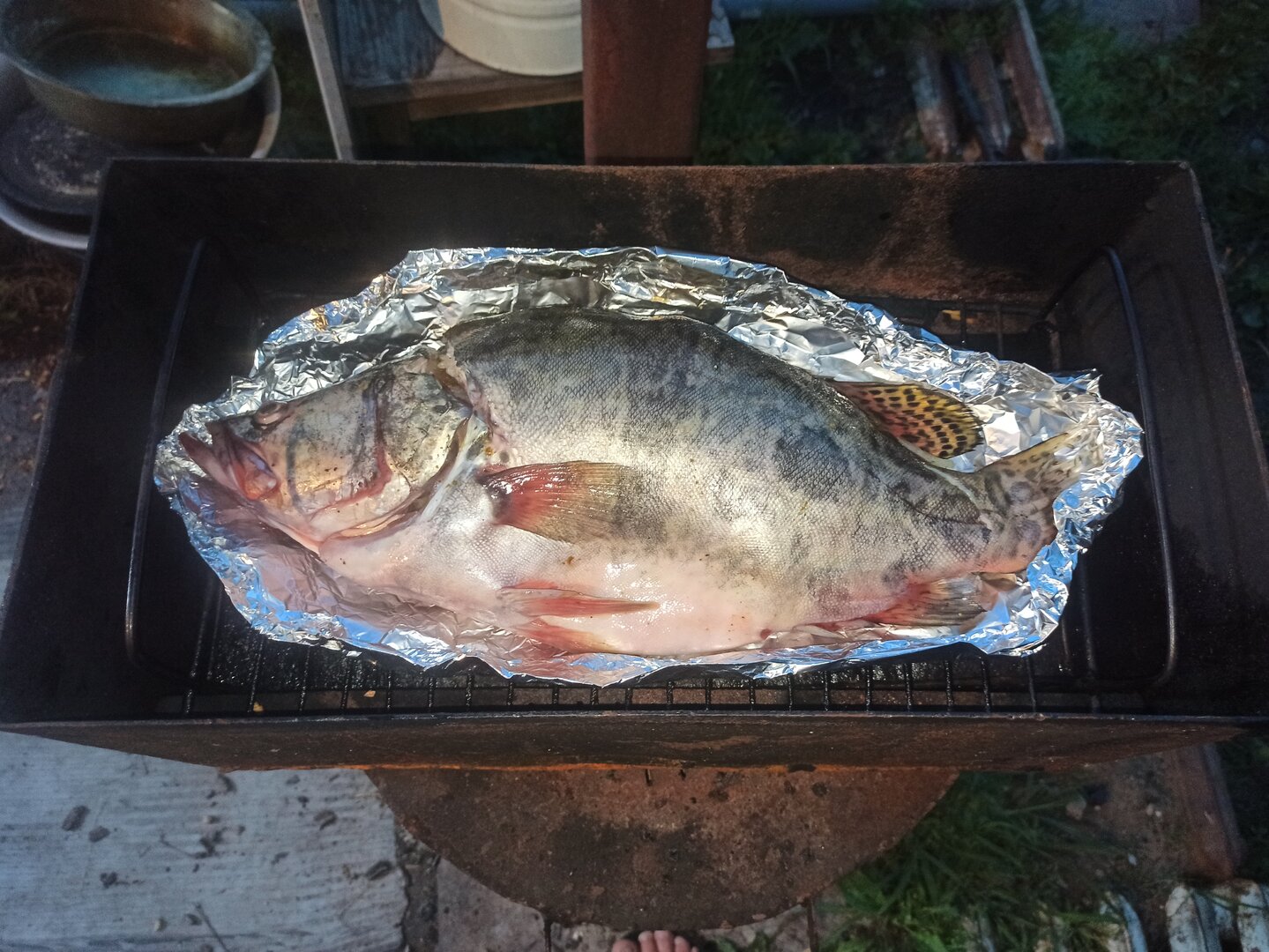 IMG_20220731_210429.jpg