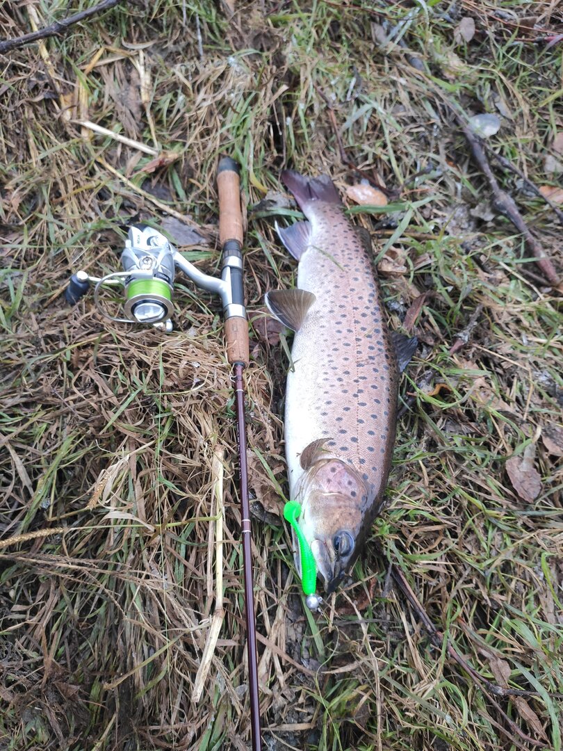 IMG_20221018_082600.jpg IMG_20221018_082600.jpg