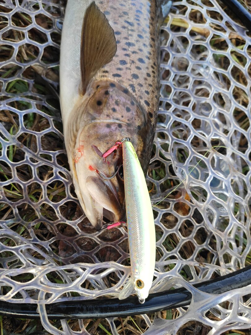 IMG_20221018_085016.jpg IMG_20221018_085016.jpg