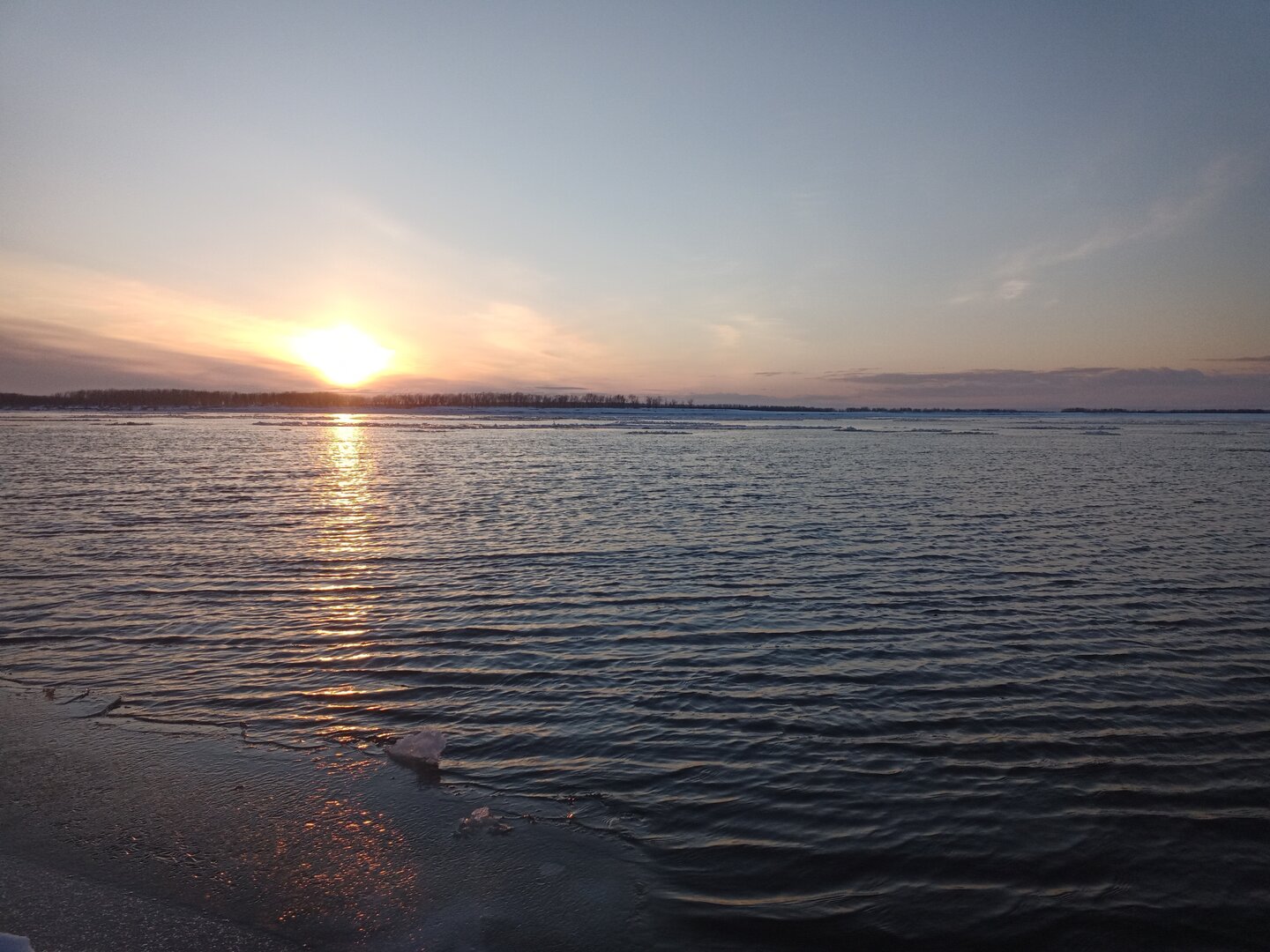 IMG_20221112_164945_670.jpg