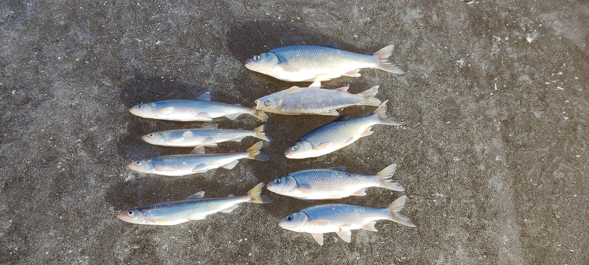 IMG_20221113_120623.jpg IMG_20221113_120623.jpg