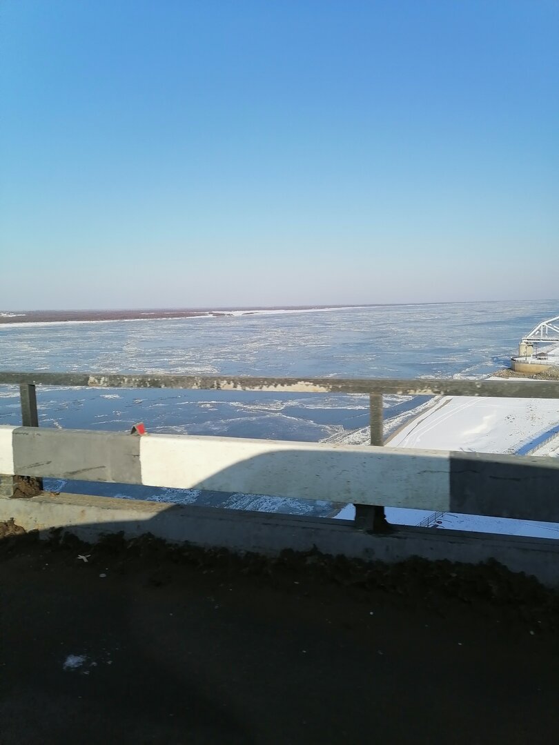 IMG_20221115_105423.jpg
