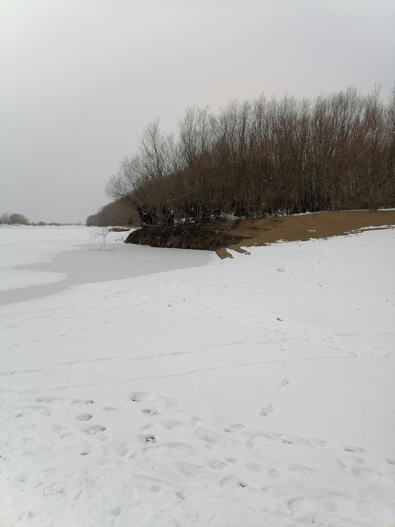 IMG_20221118_160020.jpg