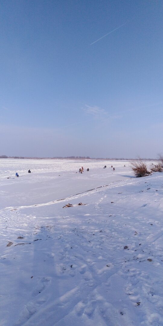 IMG_20221119_103059.jpg