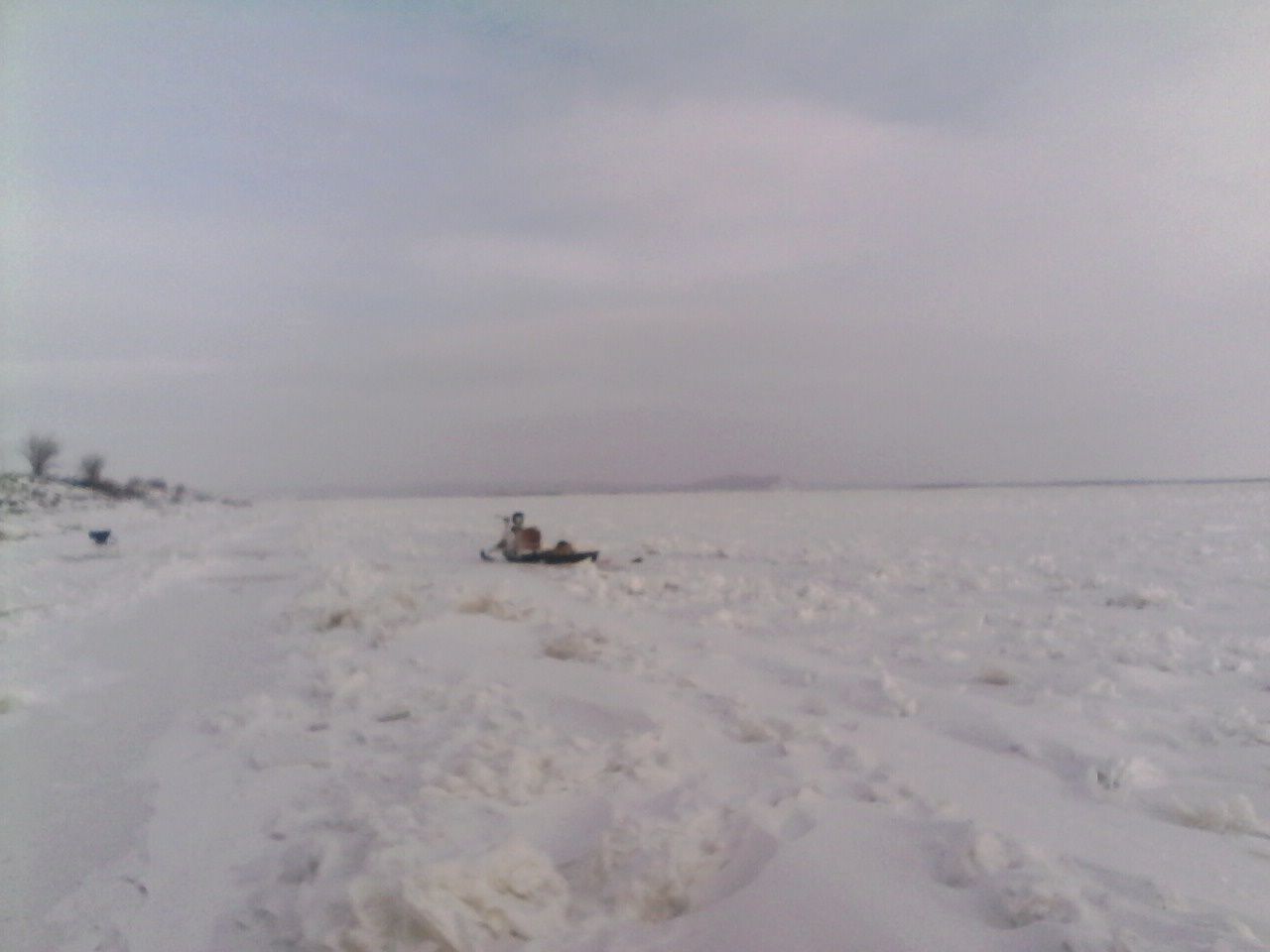 IMG_20221205_225247_359.jpg