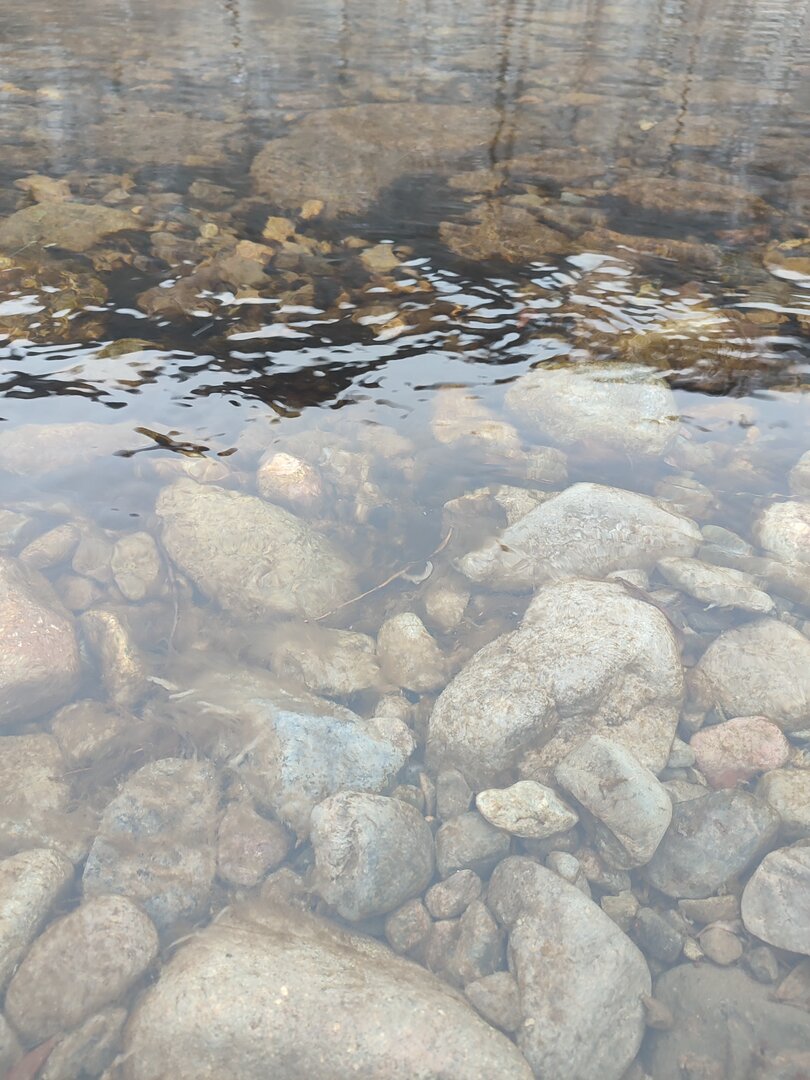IMG_20221213_150619.jpg