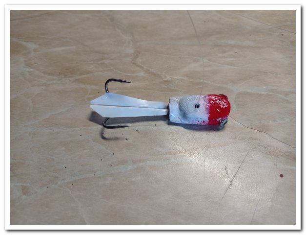 IMG_20221231_113915.jpg IMG_20221231_113915.jpg