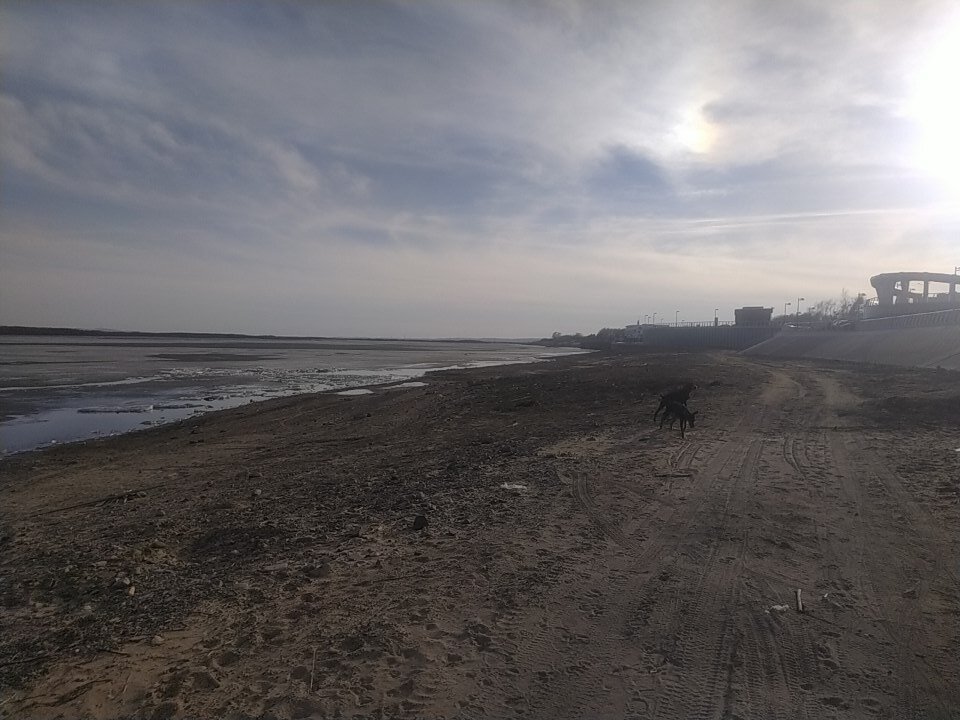 IMG_20230418_180458.jpg