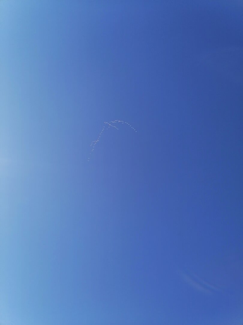 IMG_20230428_105200.jpg