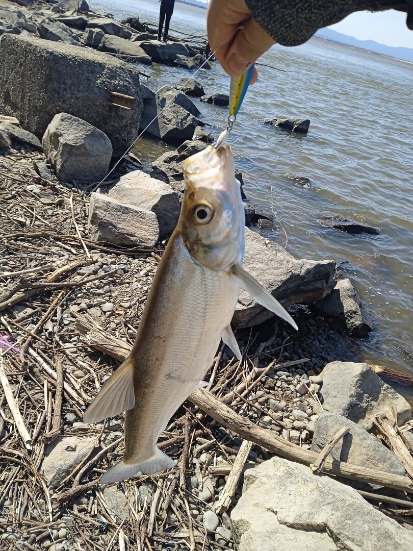 IMG_20230429_105155.jpg