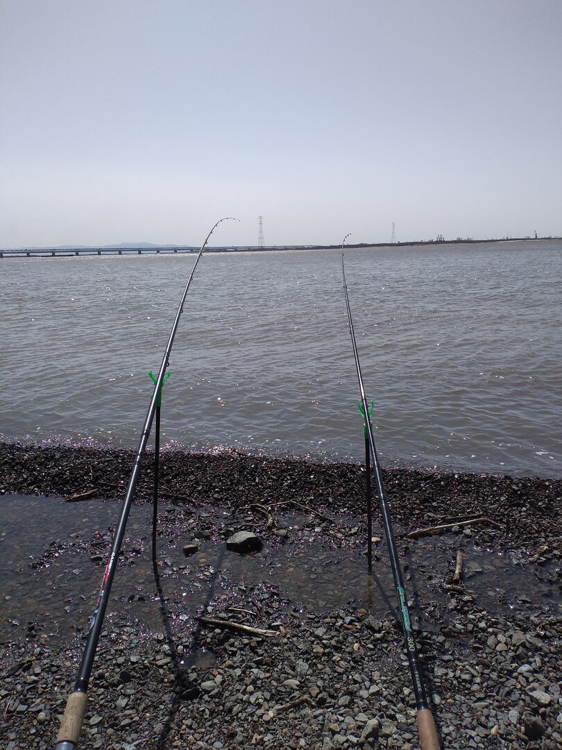 IMG_20230429_135615.jpg