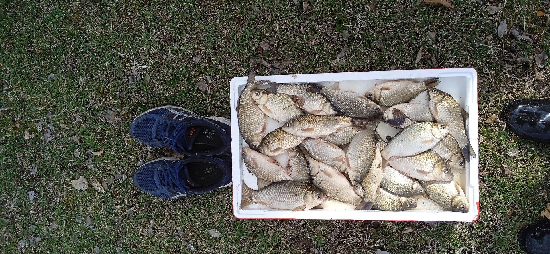 IMG_20230506_143804.jpg