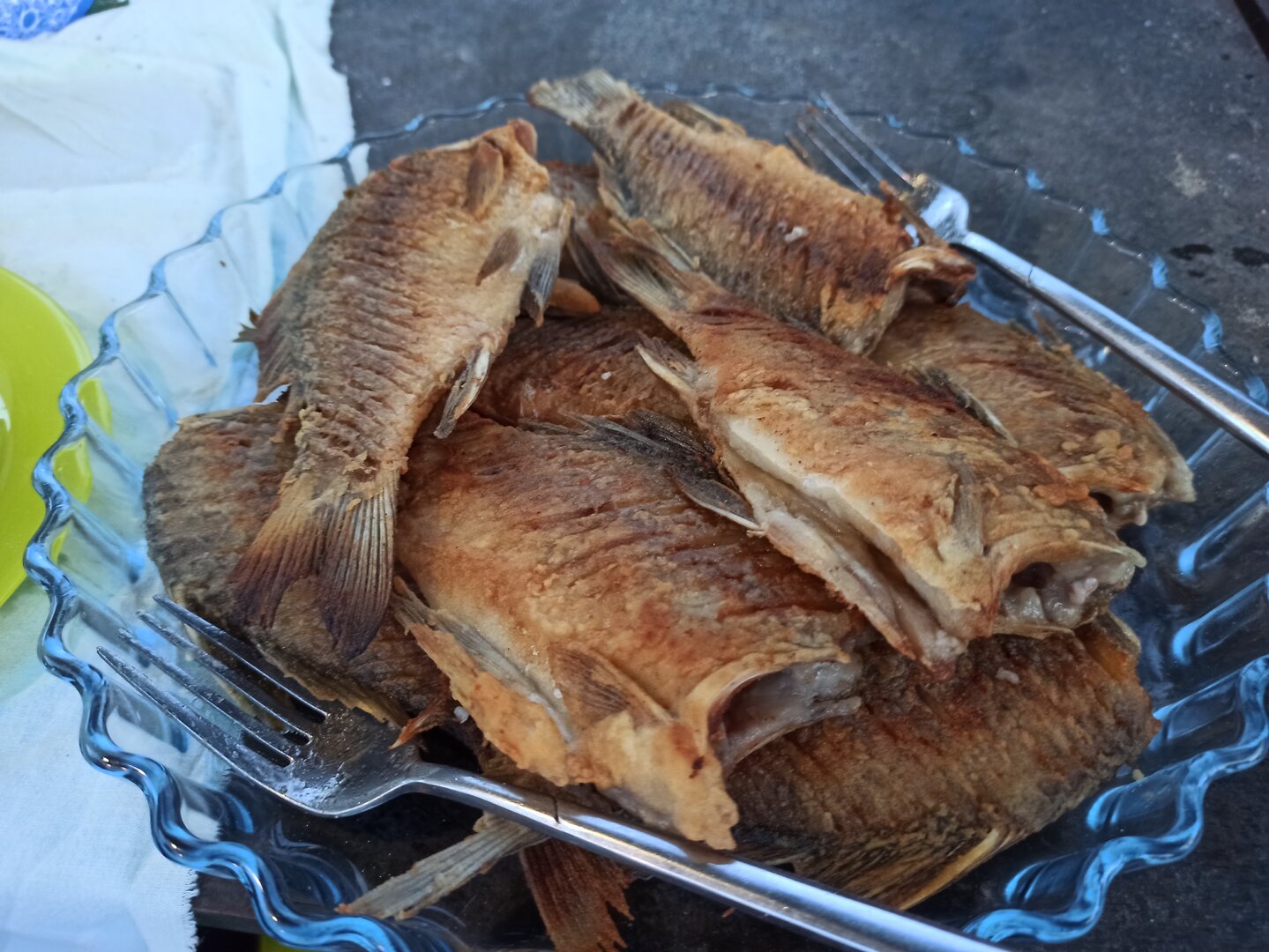 IMG_20230528_204050.jpg