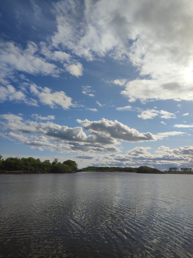 IMG_20230529_173935.jpg