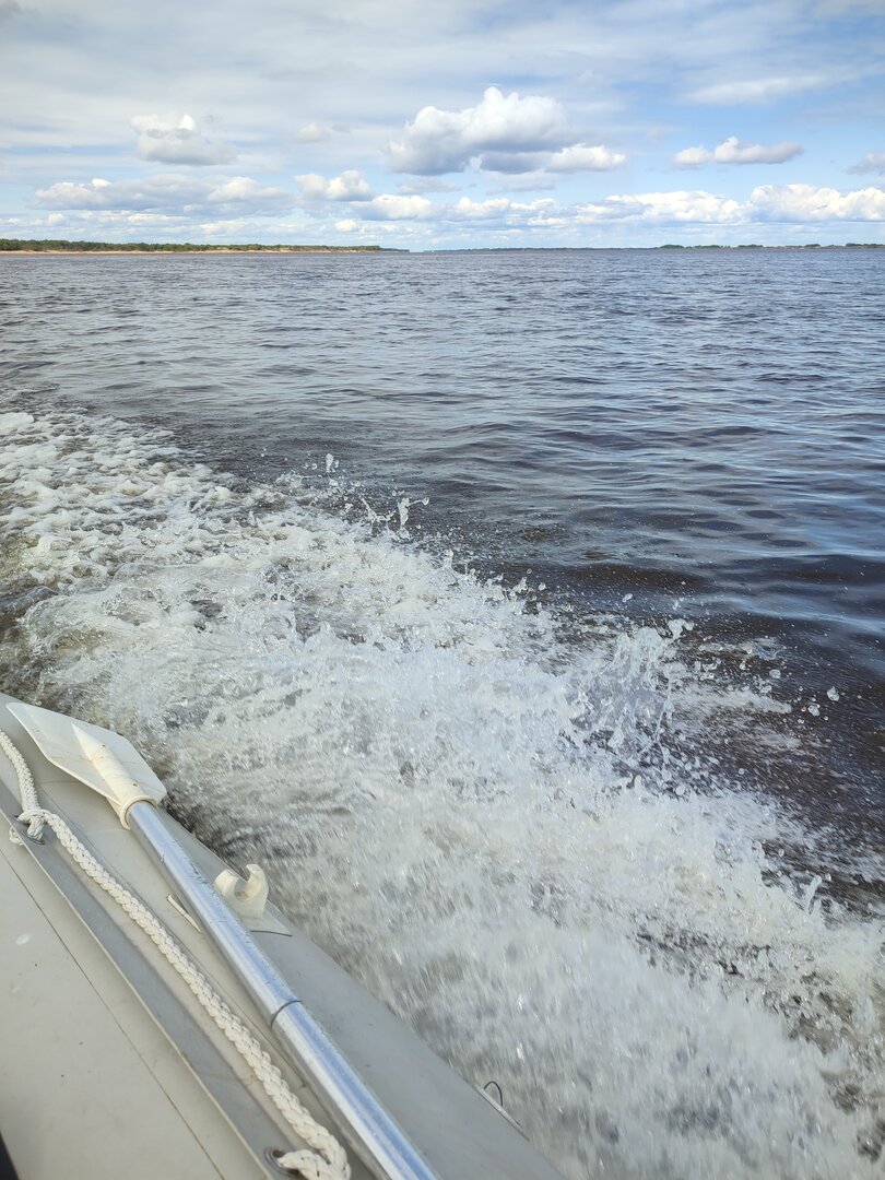 IMG_20230604_153808.jpg