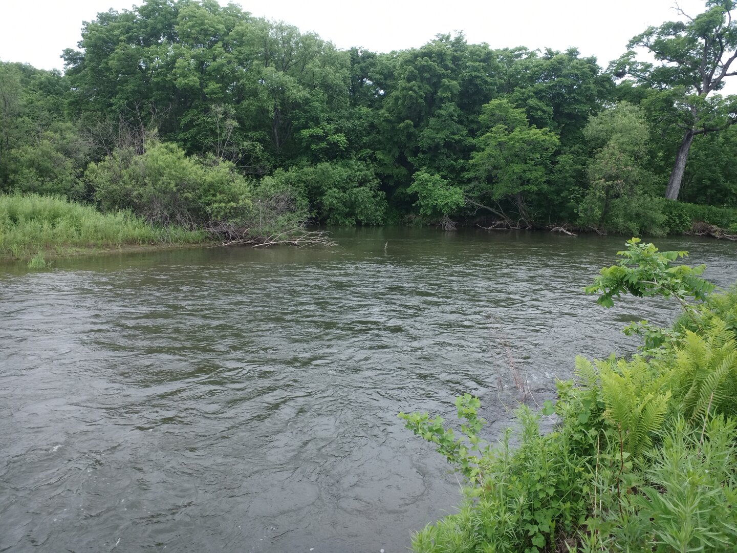 IMG_20230615_101213_986.jpg