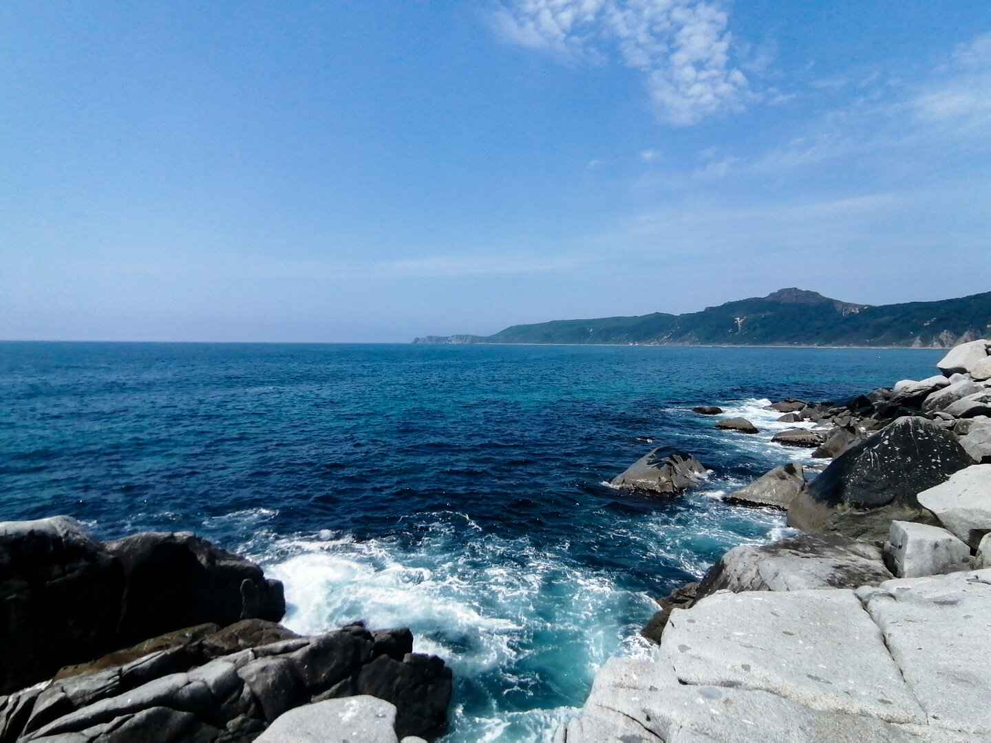 IMG_20230726_115632.jpg