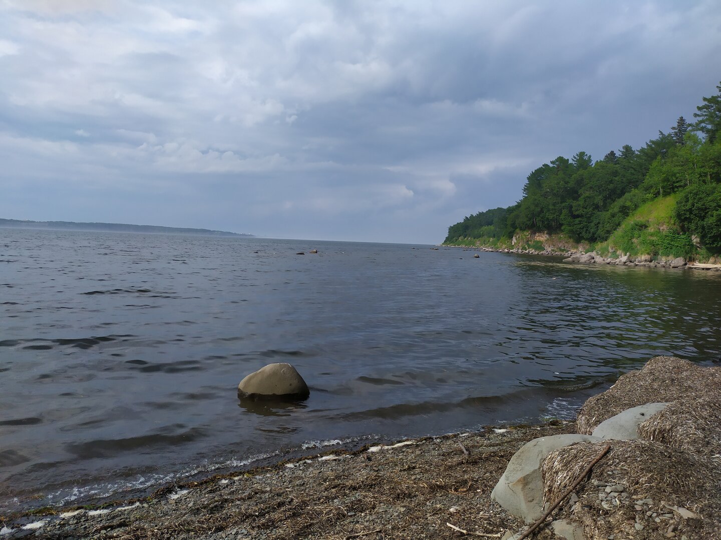 IMG_20230728_163344.jpg