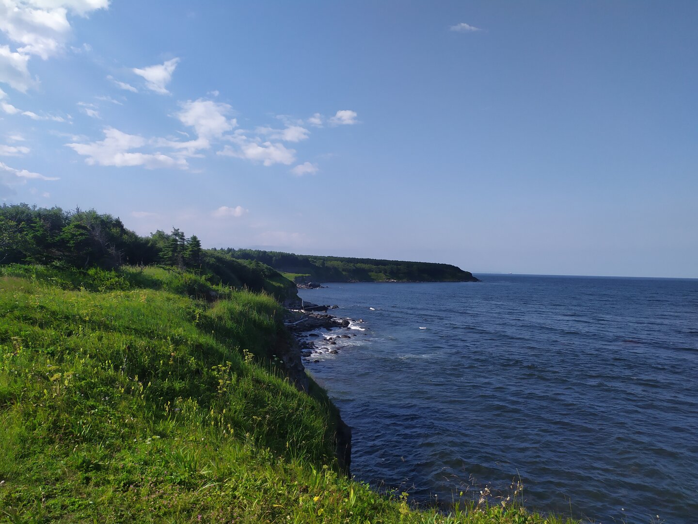 IMG_20230731_164154.jpg
