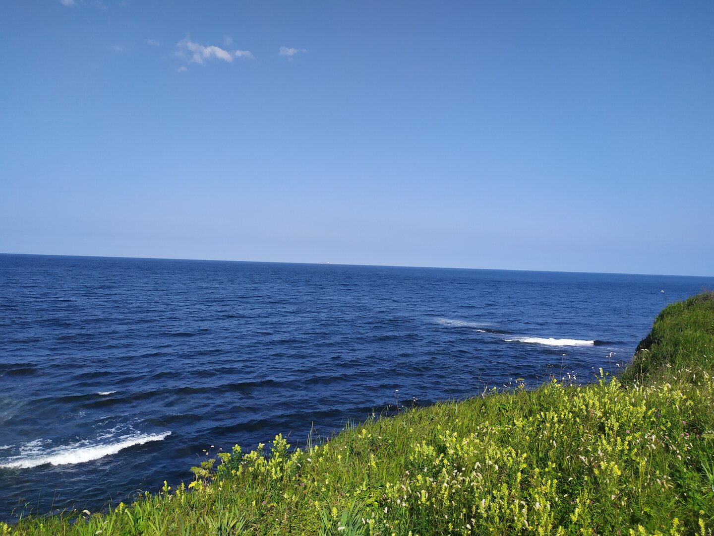 IMG_20230731_164203.jpg