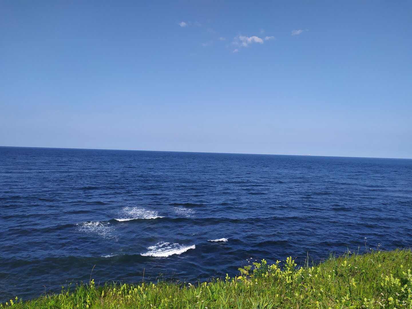 IMG_20230731_164220.jpg