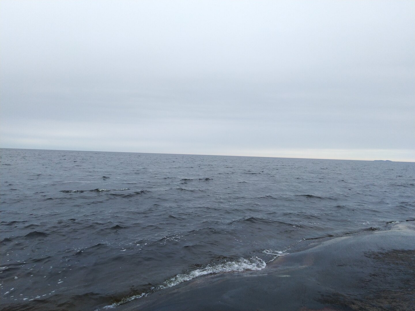IMG_20230806_130733.jpg