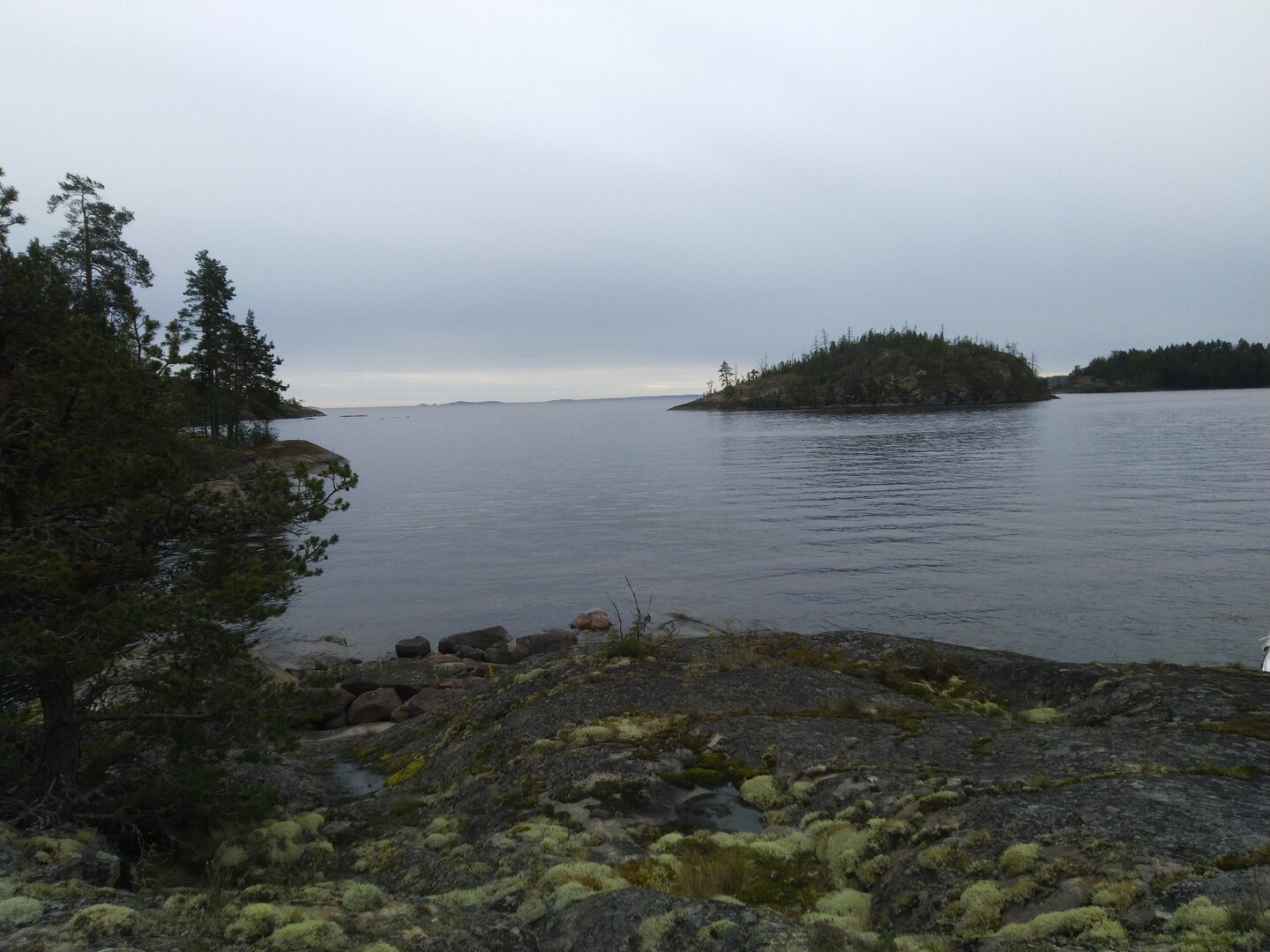 IMG_20230806_133358.jpg