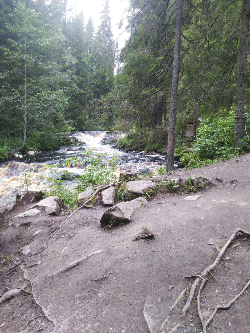 IMG_20230806_164505.jpg