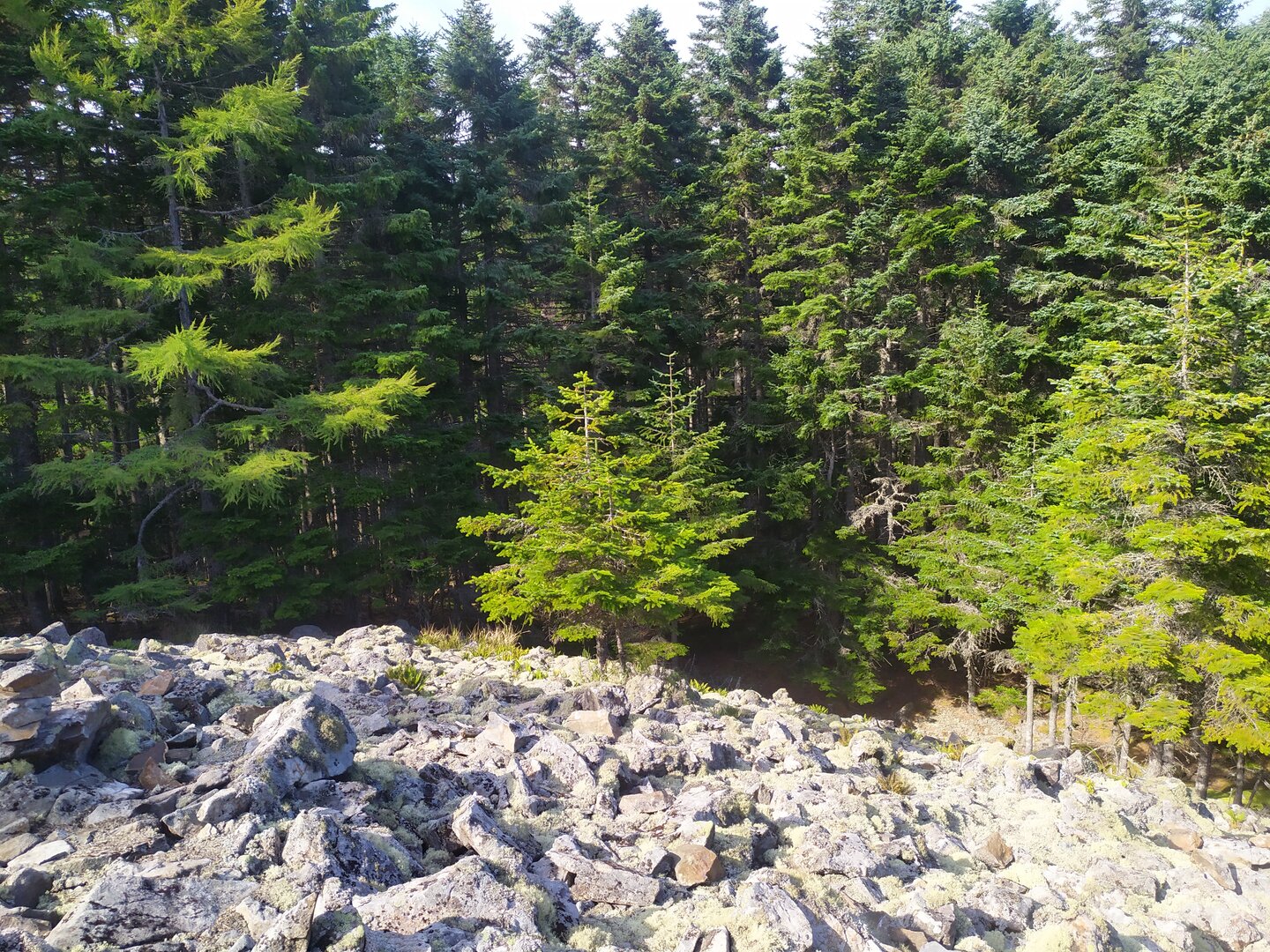 IMG_20230908_150737.jpg