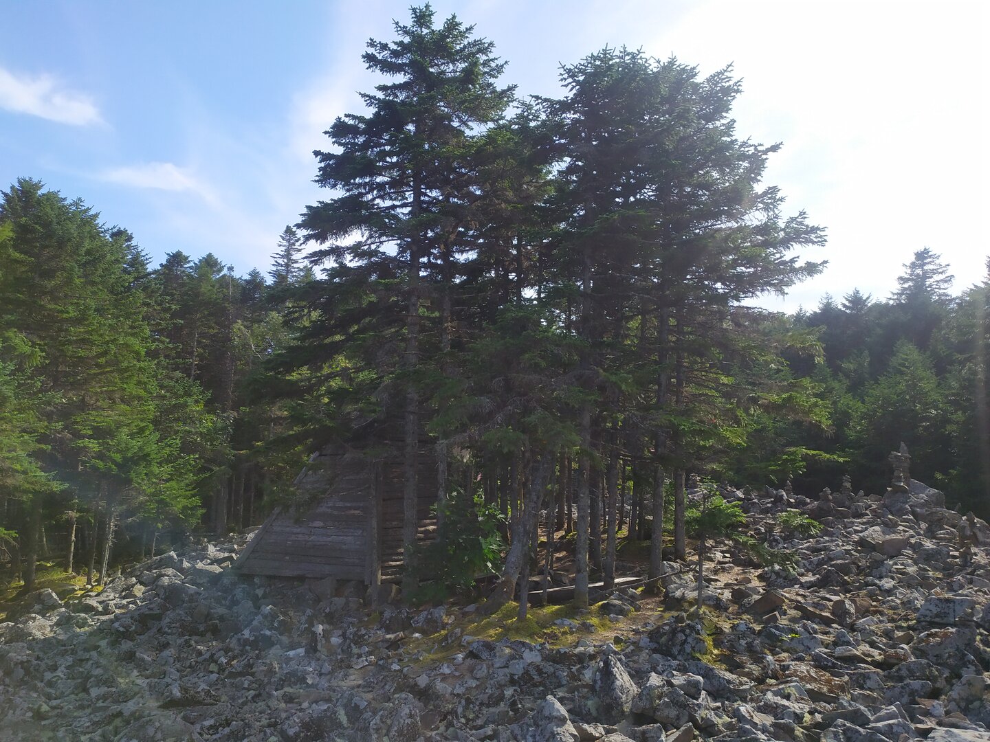 IMG_20230908_150747.jpg