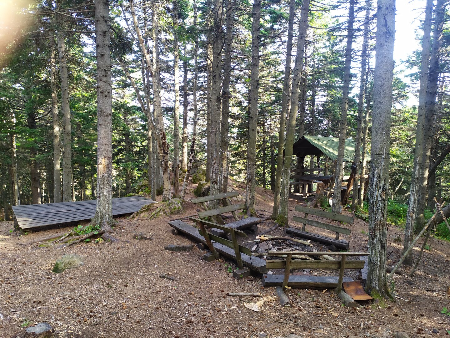 IMG_20230908_153354.jpg
