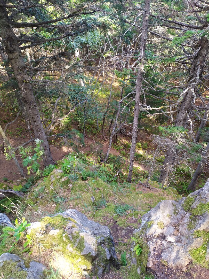IMG_20230908_153629.jpg
