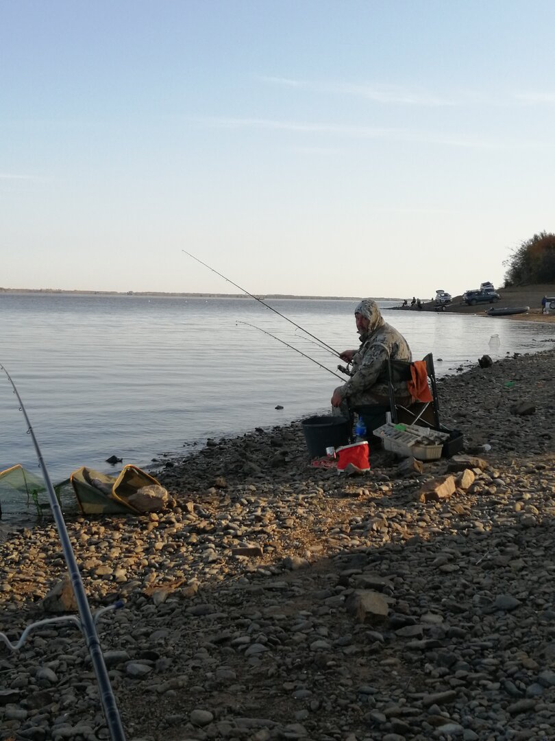IMG_20231008_090027.jpg