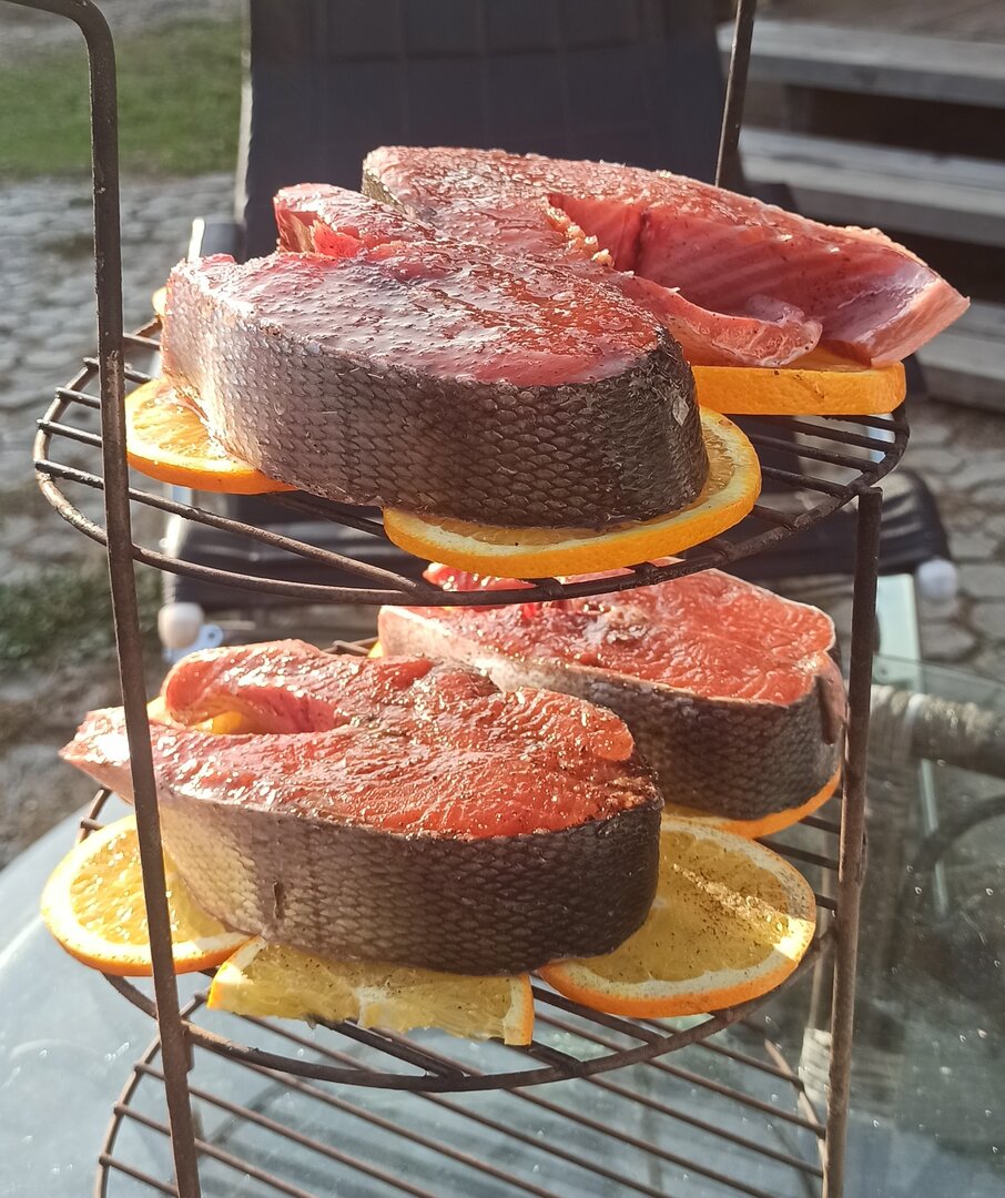 IMG_20231008_163449.jpg