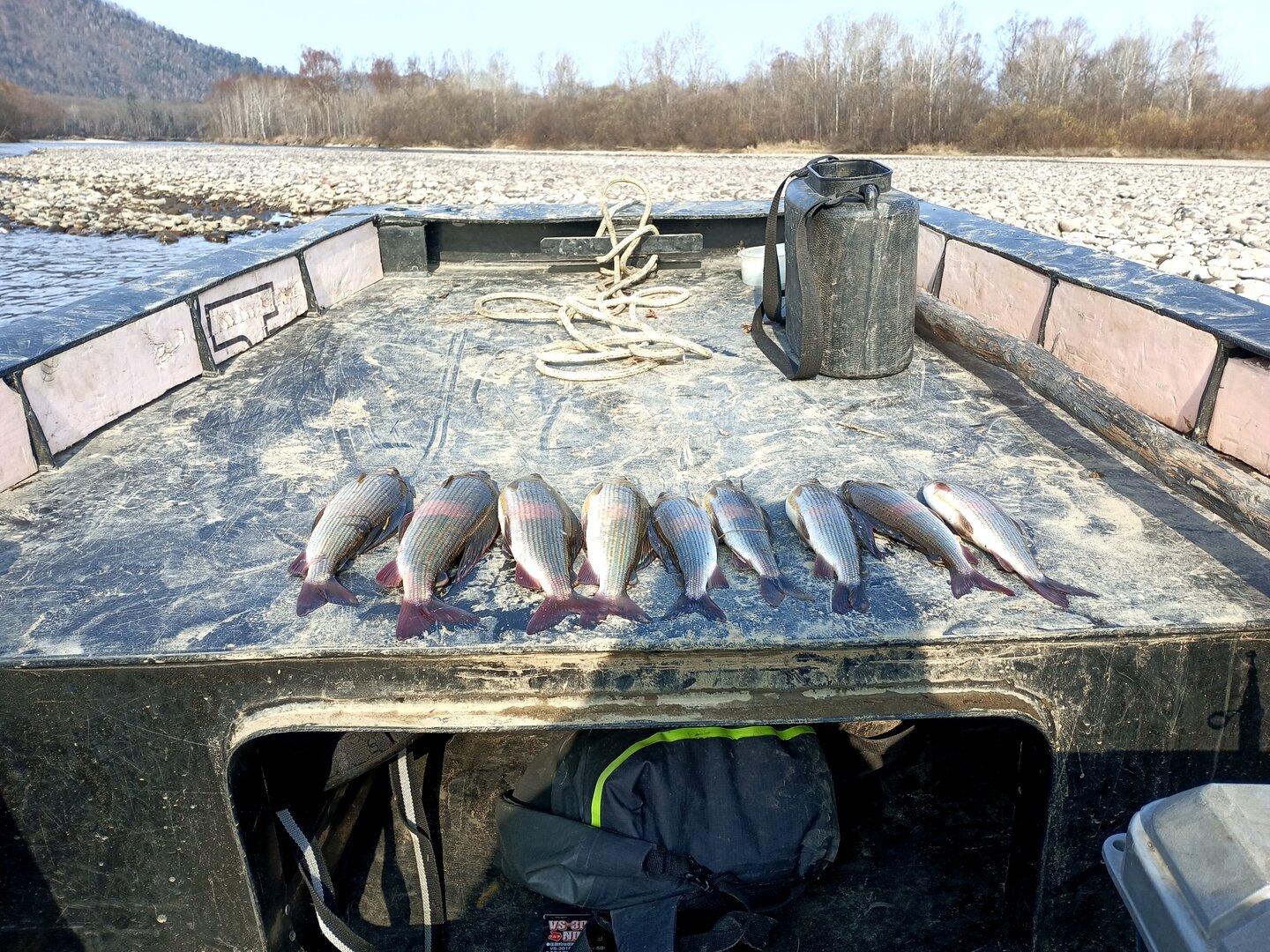 IMG_20231024_112115_563 (1).jpg